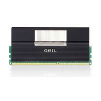 Geil 12GB PC3-10660 Kit (GE312GB1333C9TC)